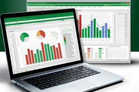 Excel for Professionals: Charts and Graphs Visualization