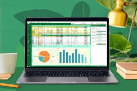 Excel for Professionals: Formatting, Functions, &amp; Productivity